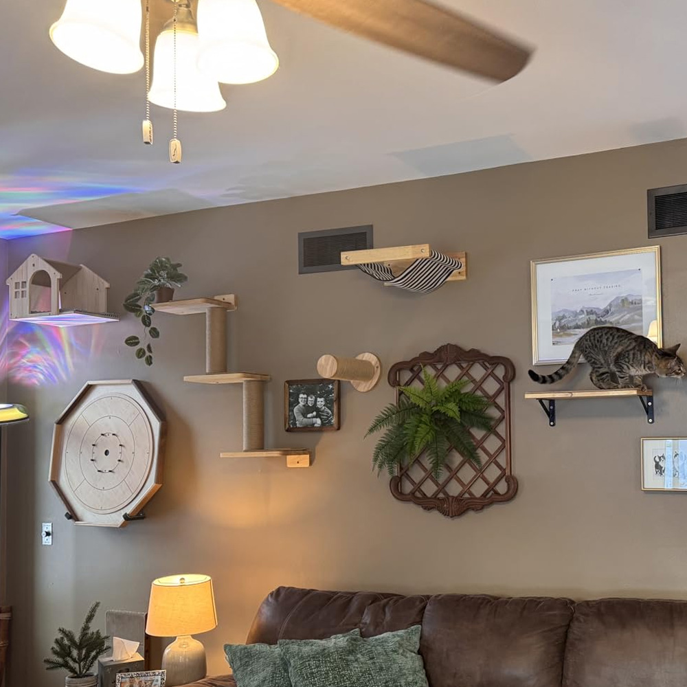 Furnitur Kucing: Jembatan Gant - Furniture Paradise & Hardware Ghaziabad ulasan dan harga